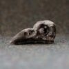 schwarzer raabe Adler Skulptur Skelett Totenkopf