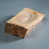 Versteinertes Holz